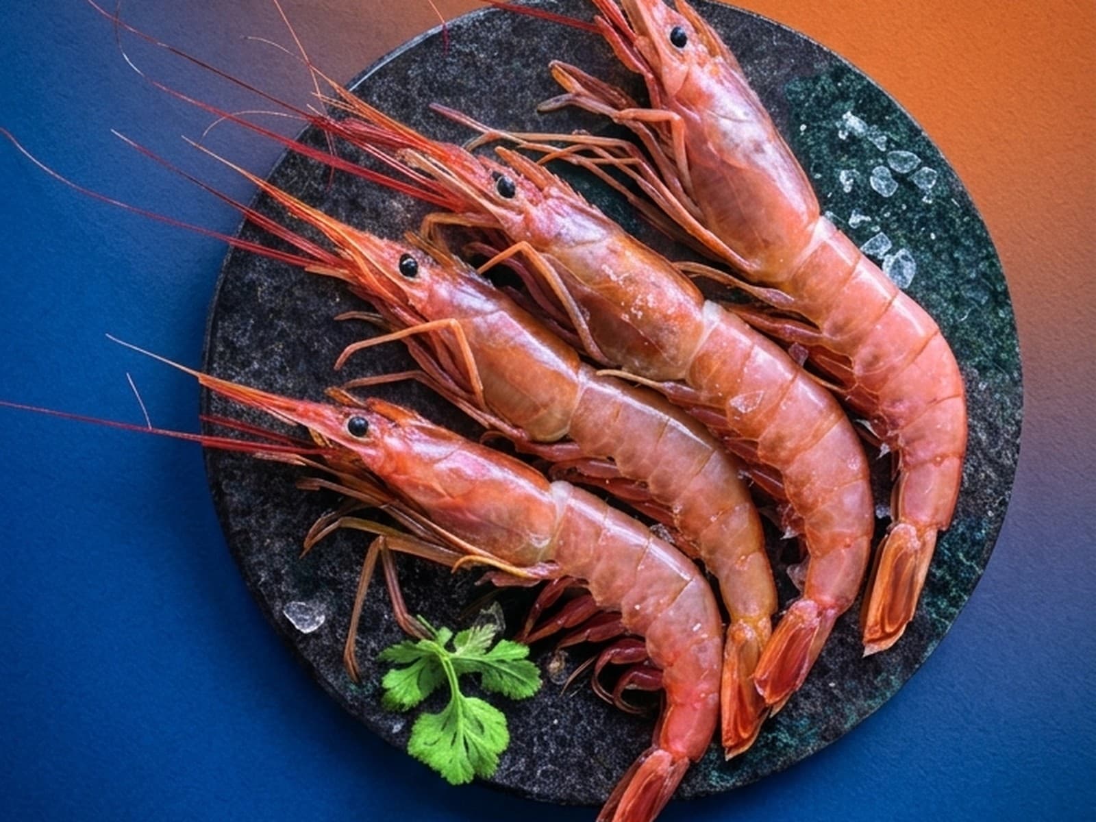 Close-up of a whole Argentine red shrimp, texture and colour